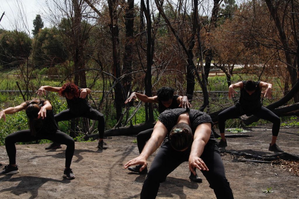 Donna Sternberg & Dancers in "Earth Body" choreography by Donna Sternberg - Photo by Mara Zaslove