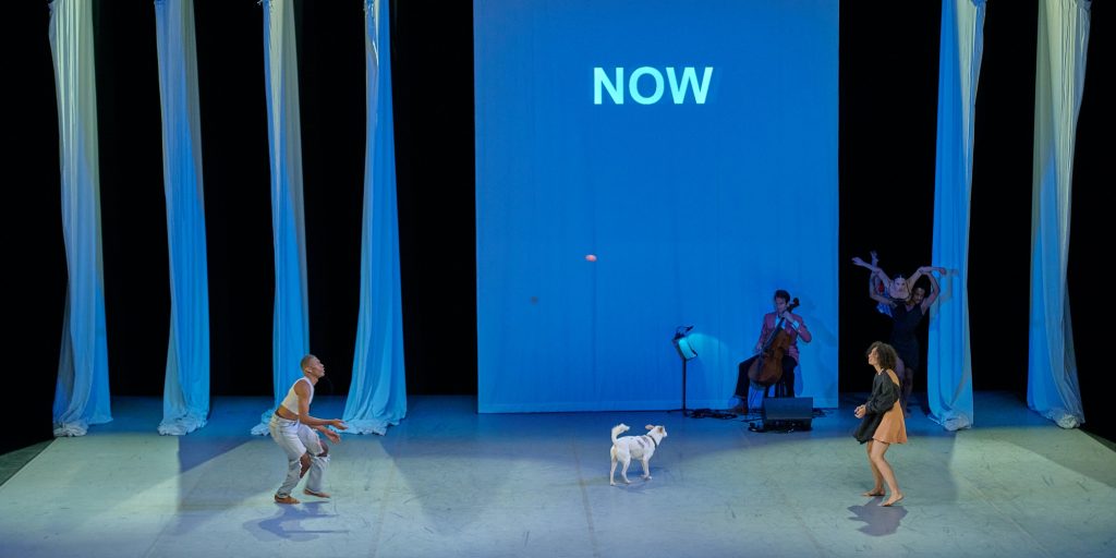  World premiere of "Joy", choreographed by Danielle Agami (L-R) Chris Hahn, George the dog, Isaiah Gage (on cello), Montay Romero, Jordyn Santiago (lifted) Danielle Agami - Photo by Rob LaTour/Shutterstock