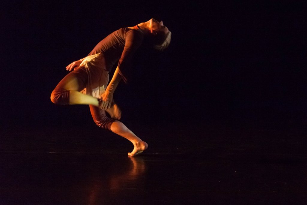 Pennington Dance Group - Michael Szanyi in Pennington's "Skins" - Photo by Denise Leitner